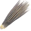 80-90cm feather pheasants tail,lady amherst pheasant feathers