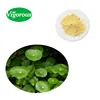 /product-detail/gmp-factory-10-asiaticoside-centella-asiatica-extract-1391042465.html