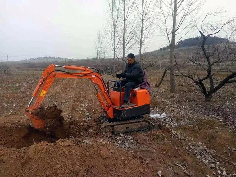 Mini rc excavator engine hydraulic price in india