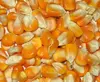 Favorites Compare Yellow Corn by Cereal Planet, Export garde A