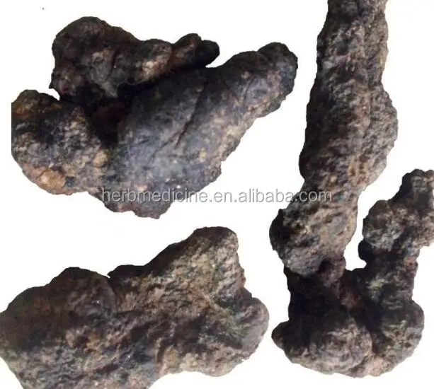 
Dried natural Grifola wild Polyporus umbellatus whole part use as herbal medicine sulphur free 