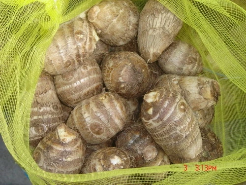 taro 50g up.jpg
