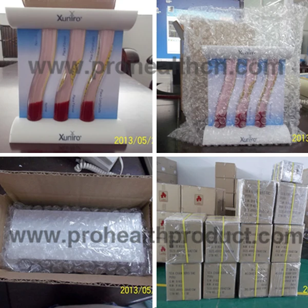 PH4220 Plastic Dynamic Blood Vessel Model For Teaching.jpg