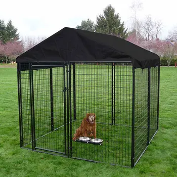 large outdoor dog kennel