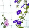 Extruded Plastic Pea And Bean Net /Climbing Plant Support Net
