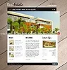 Flash website builder