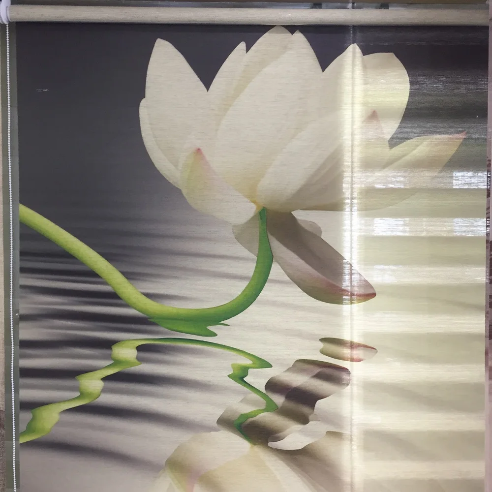 

Haoyan High Quality 3D Printing Roller Blinds With Custom Made