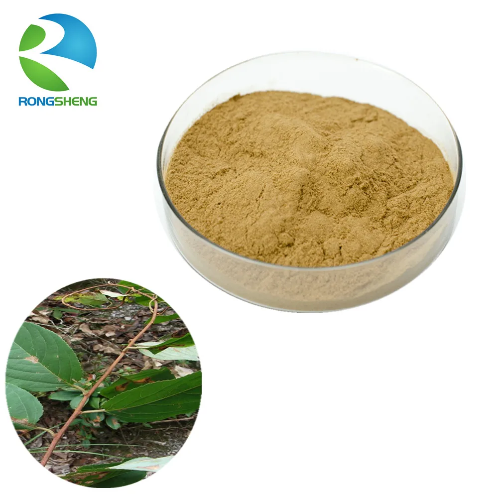 Pure Natural Lei Gong Teng Extract - Buy Lei Gong Teng Extract,Natural ...