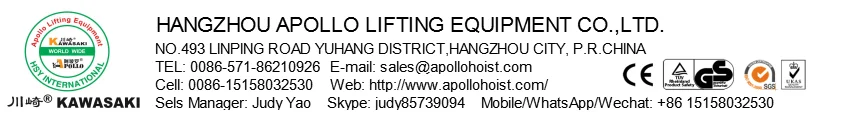 Manufacturer lever hoist 0.75t 1.5t 1.5m to 12 m customized lever chain hoist