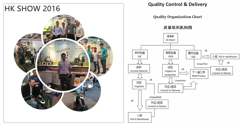 fashion citycoco scooter