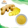 Hot sale natural Gingerols powder Ginger extract