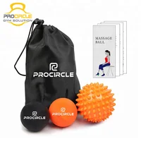 

High Density Fitness Rehab Therapy Gym Massage Ball Set Lacrosse Ball