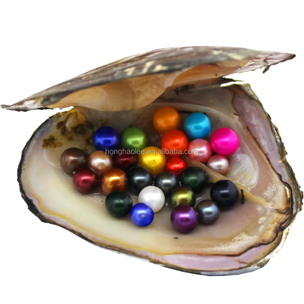 a aa aaa aaaa aaaaa wholesale oyster with pearl pearl cage pendant