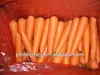 2013 Seasonable local SHANDONG new crop Fresh Red Carrot in different size and packing varieties