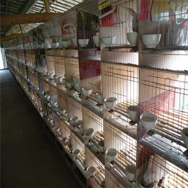 Factory Price Large 12 Cages Rabbit Cage In Kenya Farm Buy Rabbit