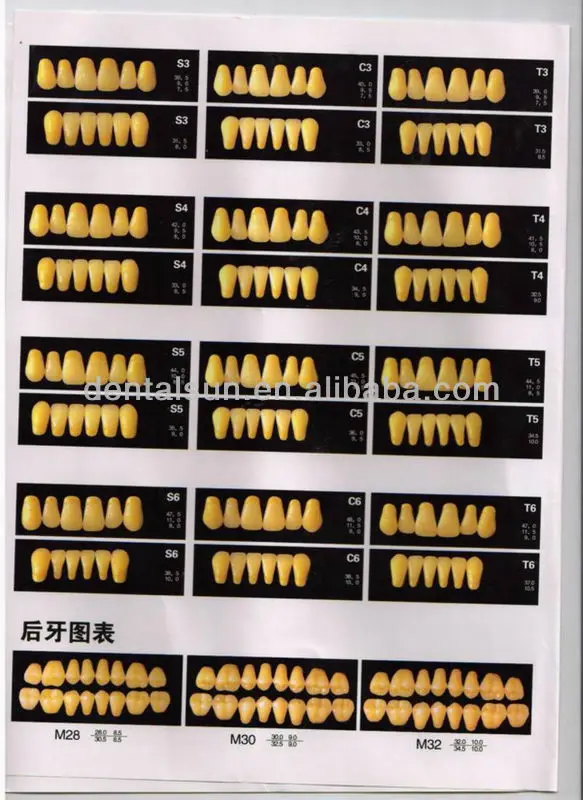 Hot Sale Acrylic Denture Teeth /false Teeth/acrylic Teeth For Dentures