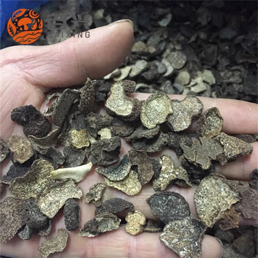 
Tuber magnatum truffle elvan italian truffle 