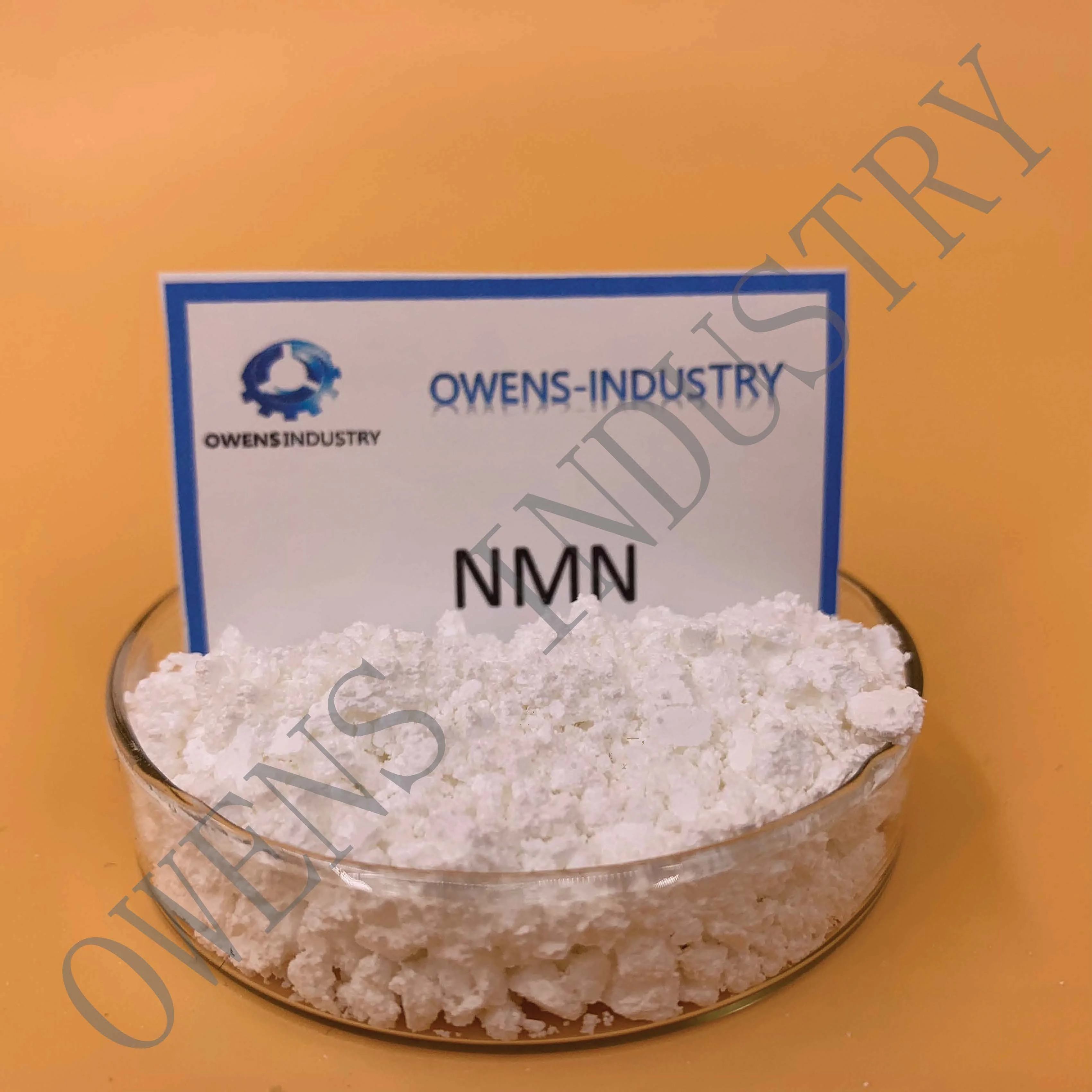 NMN Powder 1094-61-7 1.jpg