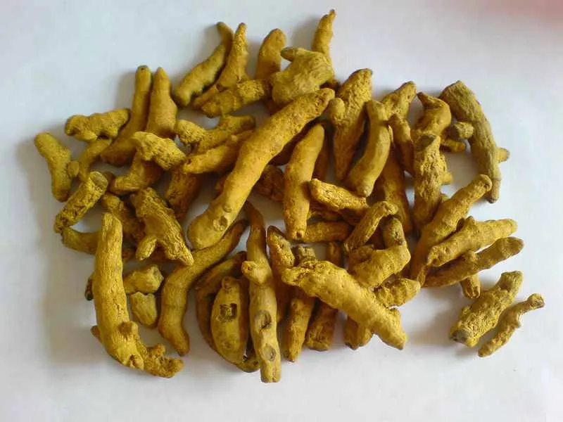 turmeric powder curcumin extract price 4.jpg