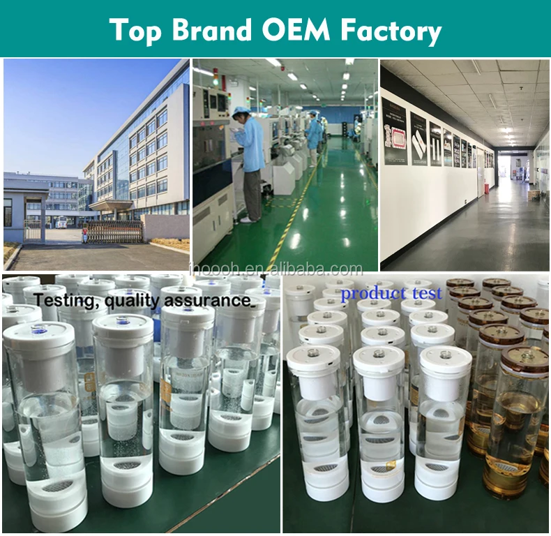 TOP OEM FACTORY.jpg