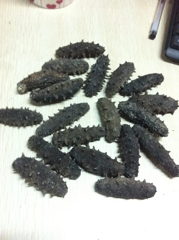 
Best price of natural sea cucumber/trapang,taiwan seafood importers 