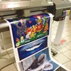 Wholesale pp poster of high quality catalogue ,booklet printing custom