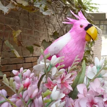 Love birds melindungi anggur dari burung