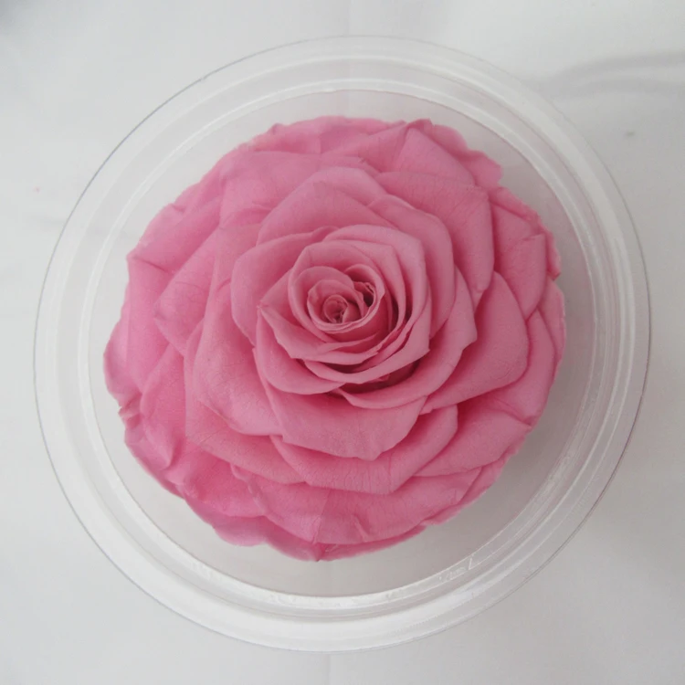 natural preserved roses.jpg