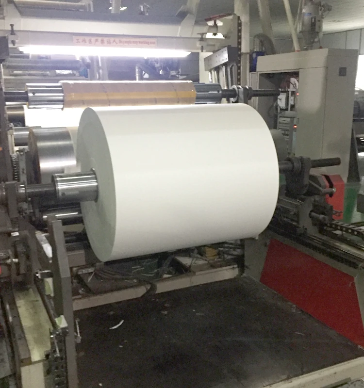 
Food Grade Paper Cup Raw Material Pe Coated Paper In Roll 