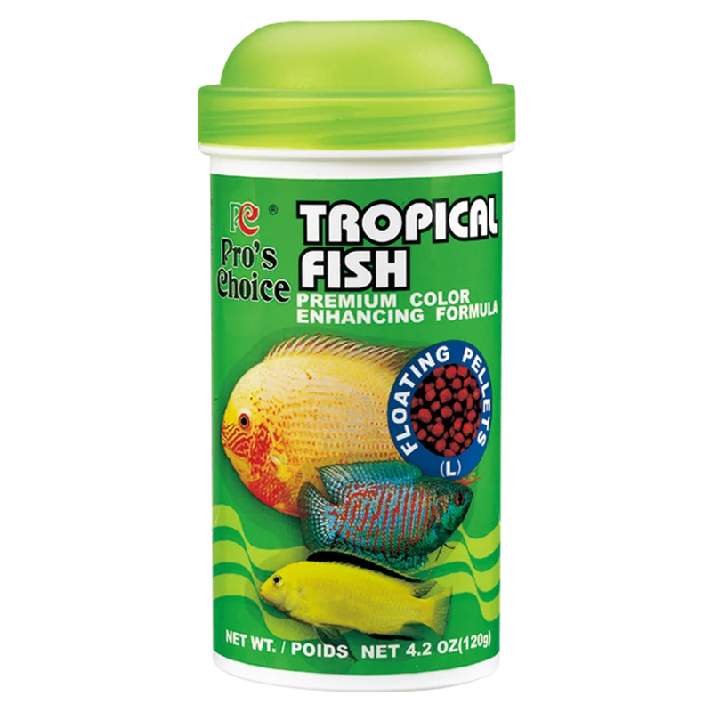 tropical fish and feed