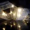 Outdoor Led Ribbon Lights/Decoration Ribbon Christmas Led Light/Led Lighted Ribbon Garland HNL069