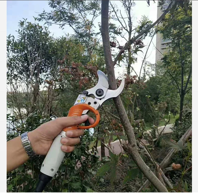 
Cordless 4.5cm Cut Diameter Electric Pruning Fruits Shear for cutting Garden Tree With Li Battery 
