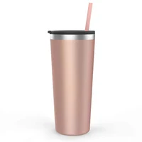 

Personalized 22 Oz Stainless Steel Insulated Skinny Tumbler Cup With Lid And Straw