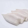 Skinless First Ring on Frozen Squid Tube