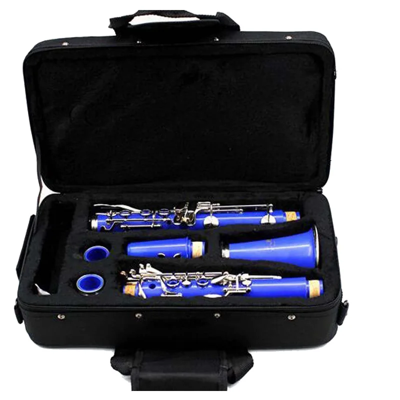 Waterresistant Foam Cotton Padded Carry Case Gig Bag