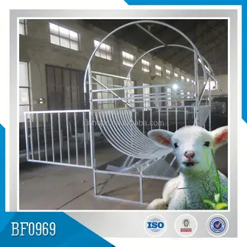 Easy Installing Goat Feeder