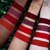

24 Hours Long Lasting Factory Liquid Lipstick Matte Velvet Private Label Custom Colors Make Your Own Brand Colors Beauty Makeup