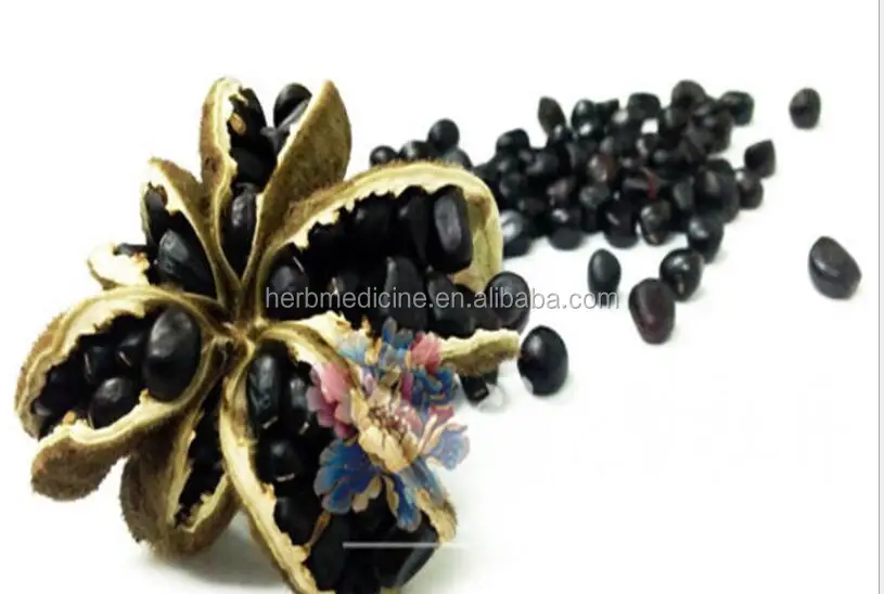 Paeonia suffruticosa Andr.jpg