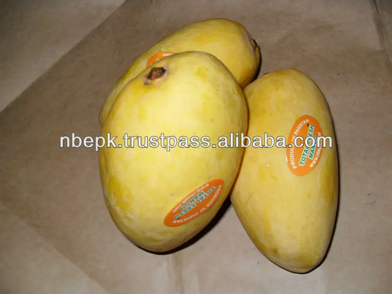 Honey Mango Chaunsa 1.JPG