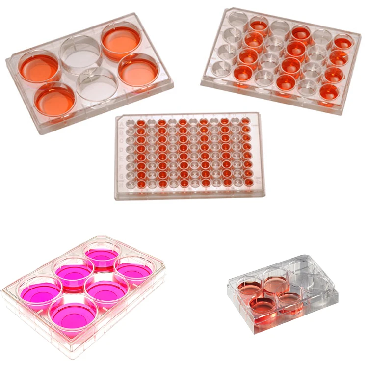 labmedicalplasticsterildisposable6welltissuecellcultureplate