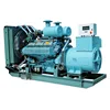 CE ISO high efficient gas generator price big natural gas generator
