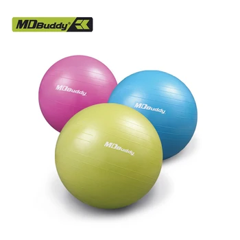 anti burst gym ball