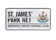 Custom License Plate.jpg