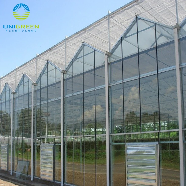 High Efficient Venlo Tempered Glass Greenhouse Buy Greenhouse,Glass
