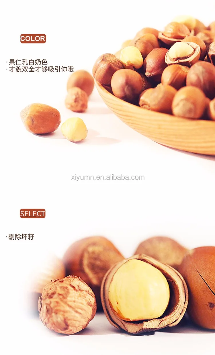 wild hazelnuts.jpg