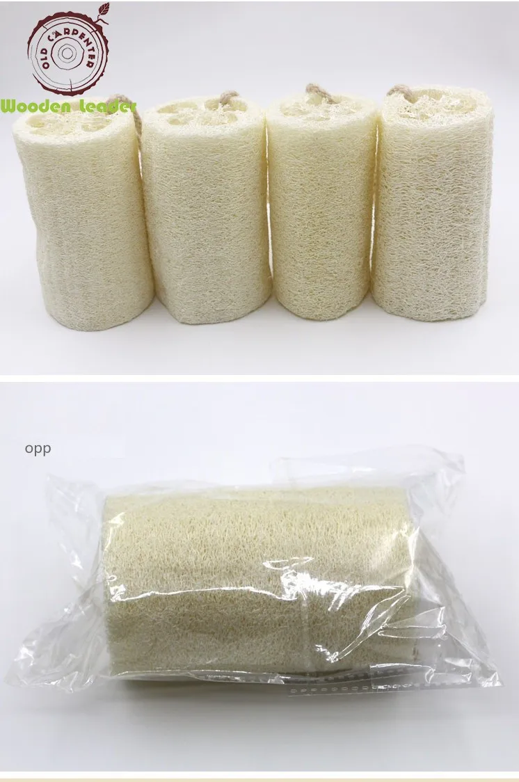 loofa (13).jpg