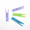 2019 New design plastic clothes pegs set