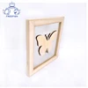Floating Frame - Modern Picture Frame Designed to Display a Floating Golden butterfly