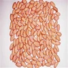 High quality Peanut kernels in long shape form China