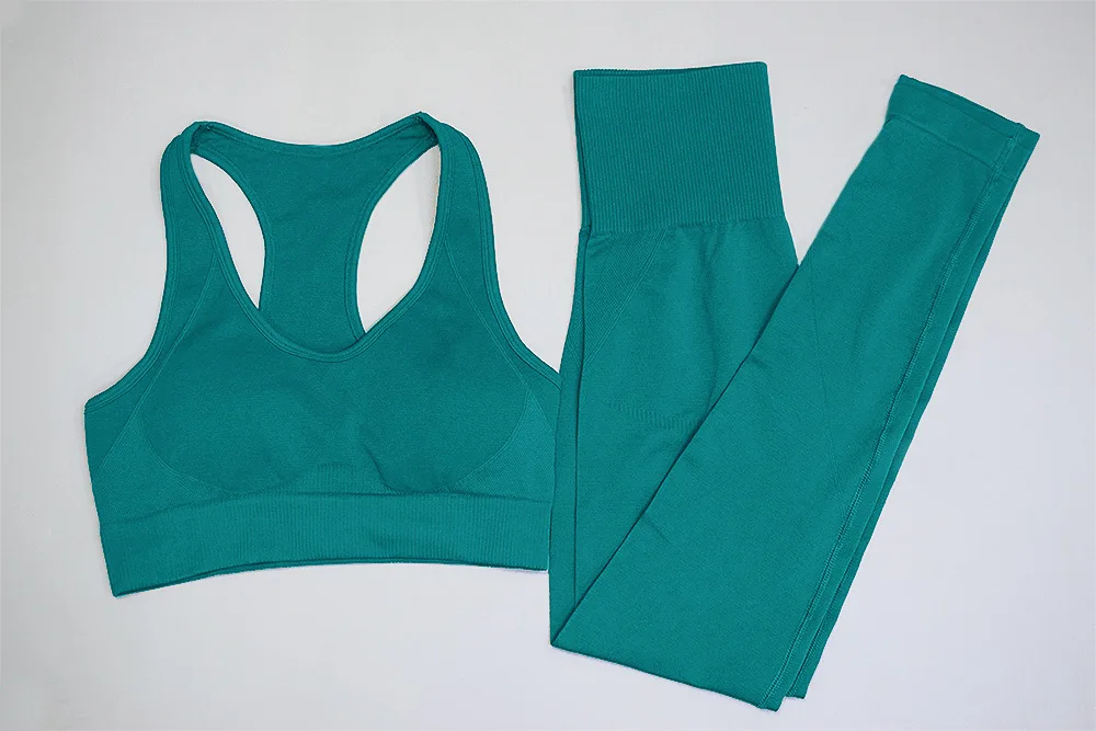 Wholesale 2 pieces yoga wear sport clothing set solid fitness seamless women yoga sets